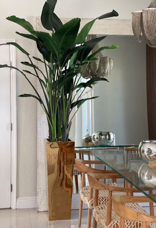 Gold Cube Planter with Bird of Paradise (9′)