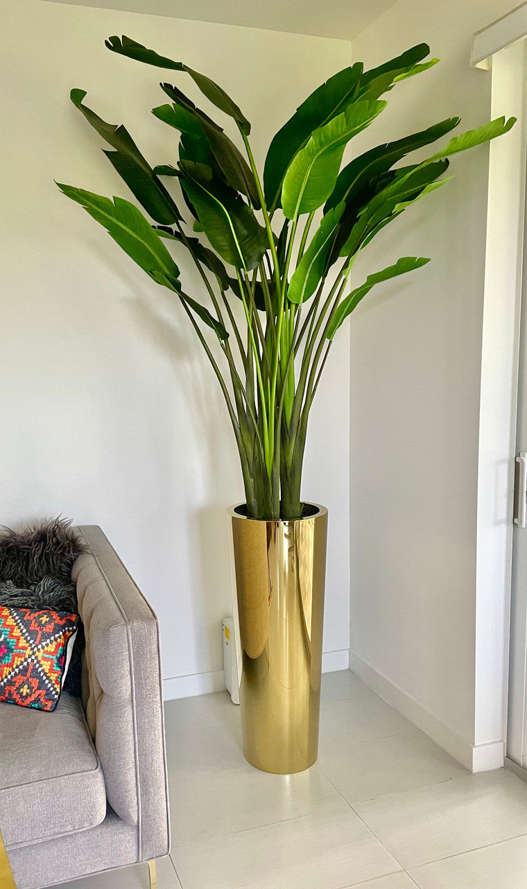Gold Cone Planter with Bird of Paradise (7′)