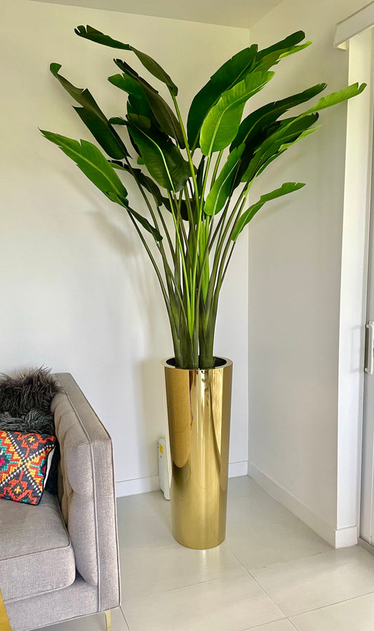 Gold Cone Planter with Bird of Paradise (7′)
