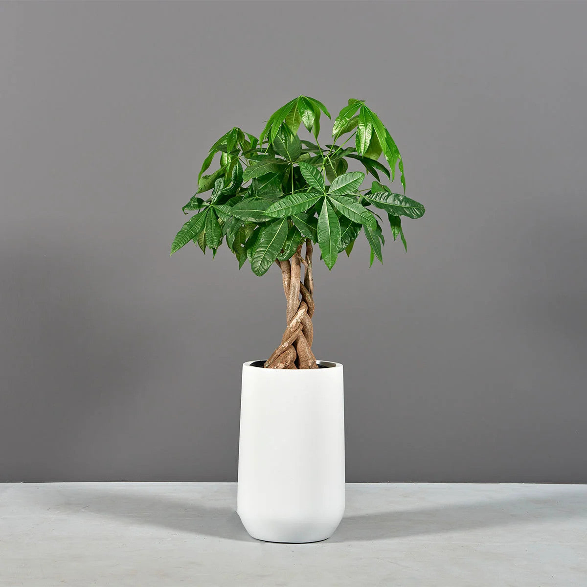 Pot de fleurs rond Hayden