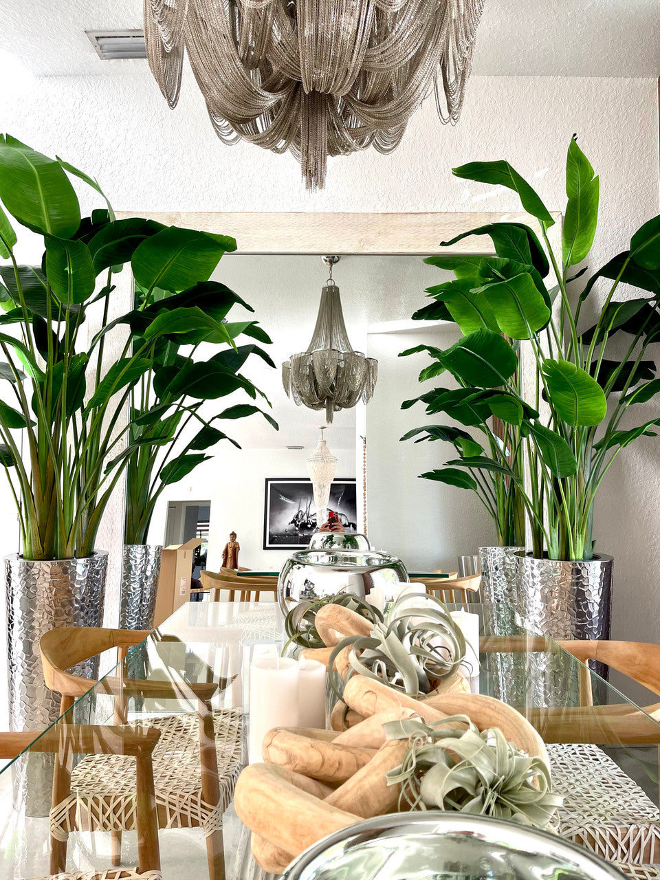 Silver Hammered Stainless Steel Cone with 7ft Bird of Paradise(Out of Stock)