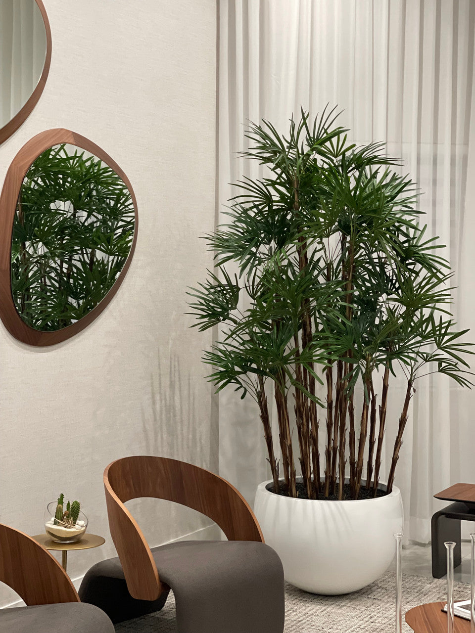 White Terragona Planter with Lady Palm