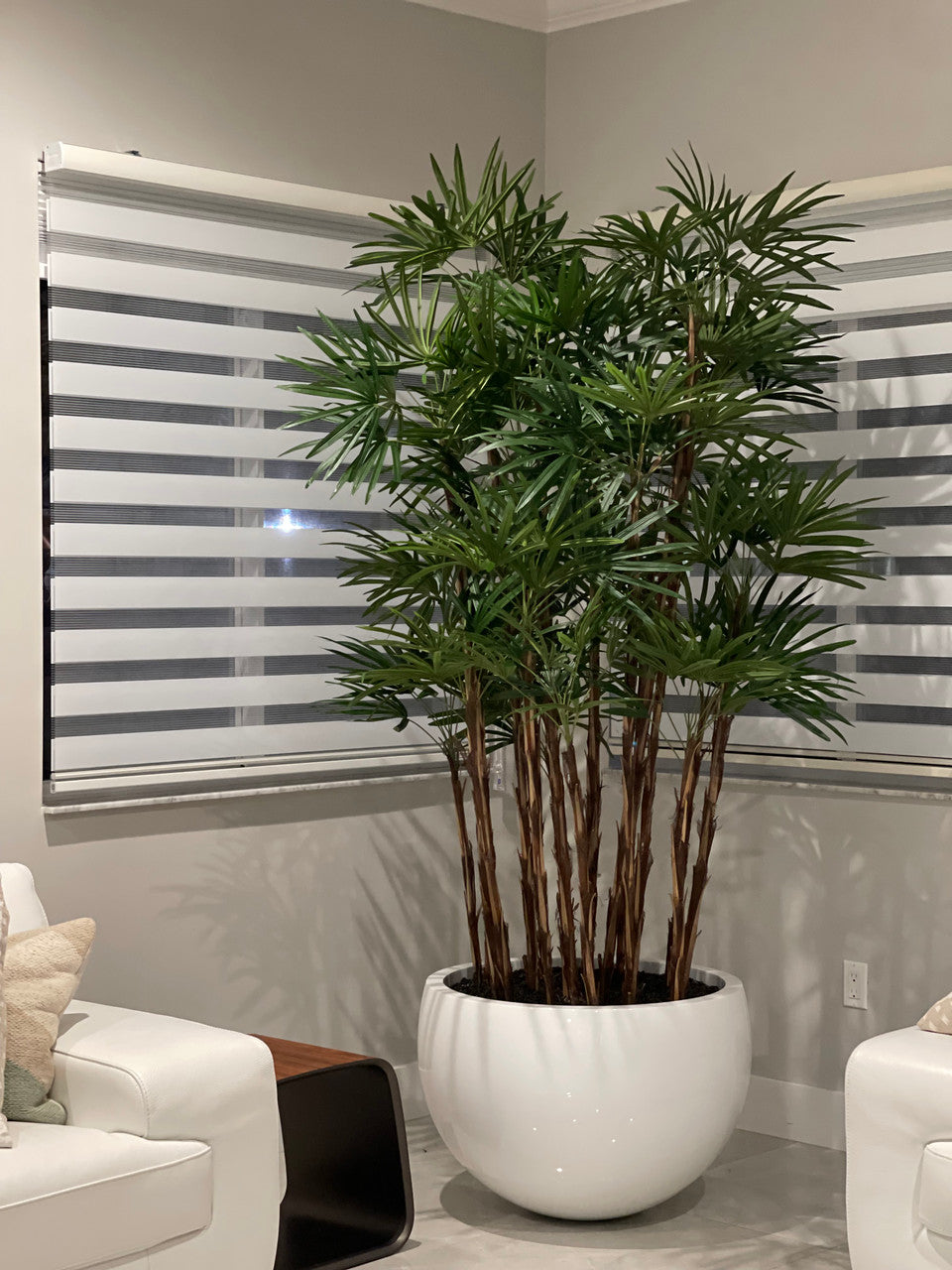 White Terragona Planter with Lady Palm