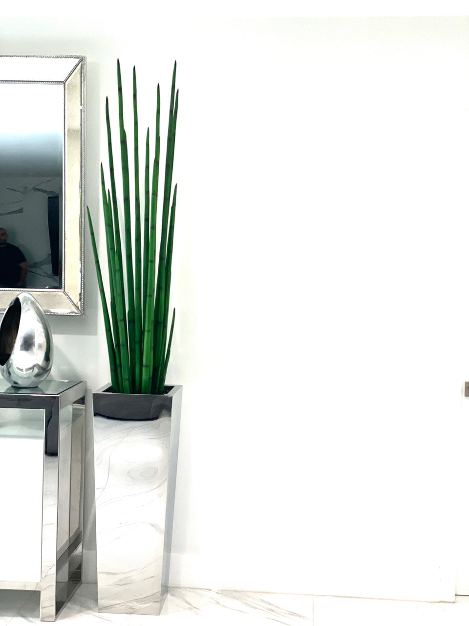Jardinière cube en acier inoxydable avec Sansevieria