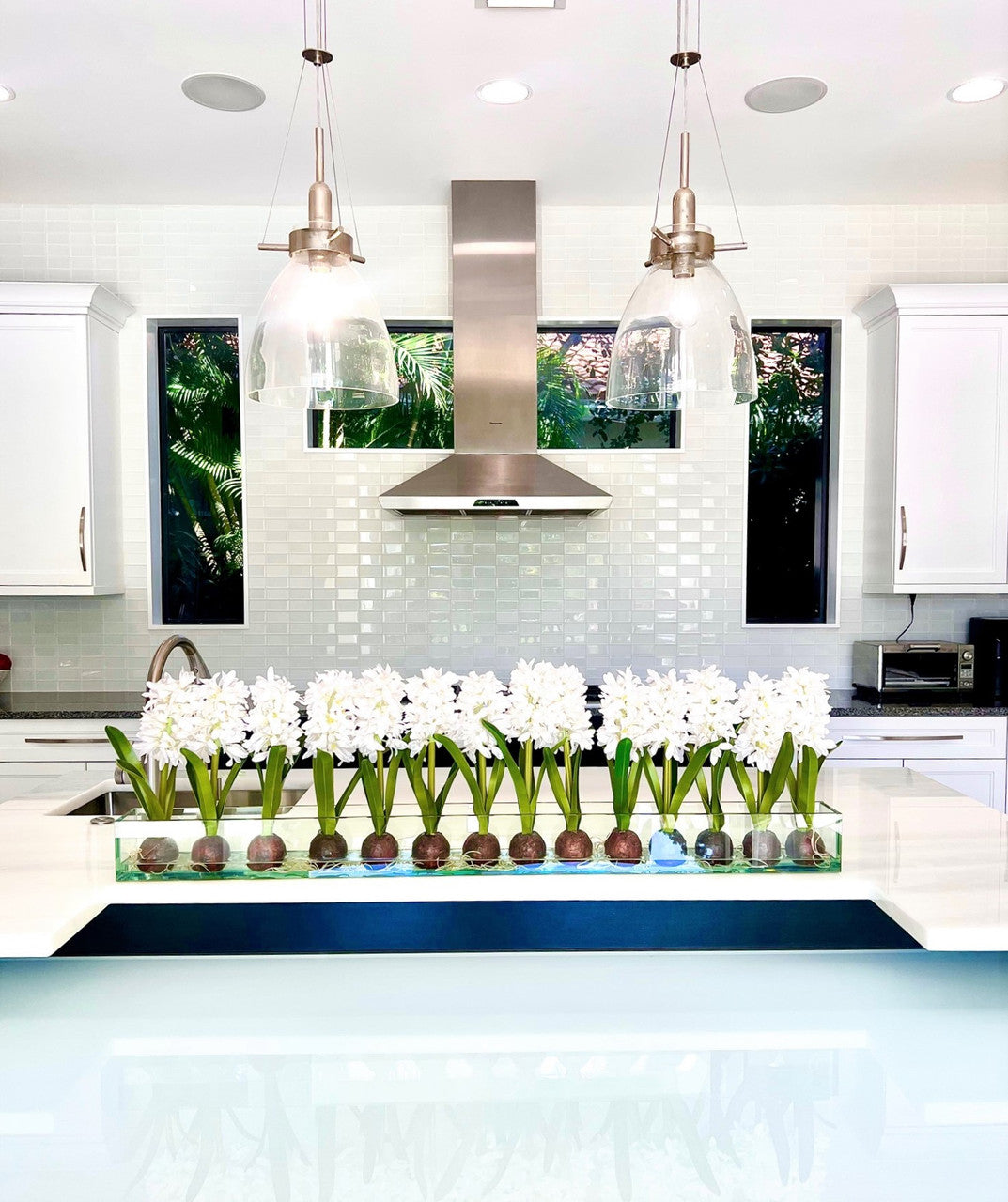 Jardinière de 48 po Casa Moderna en verre avec jacinthes blanches