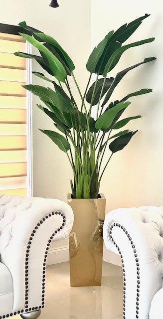 Medium Gold Cube Planter with Bird of Paradise (7′)