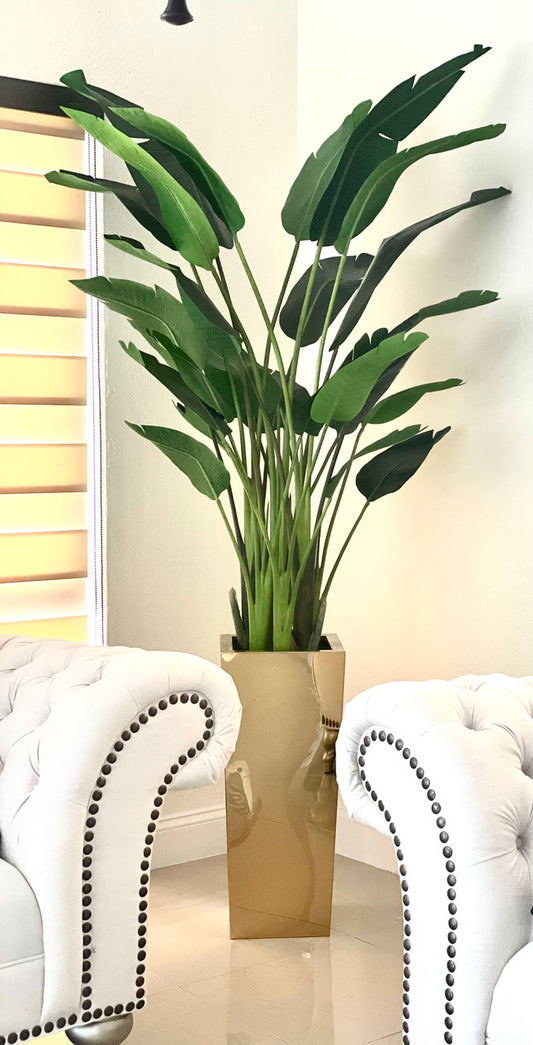 Medium Gold Cube Planter with Bird of Paradise (7′)