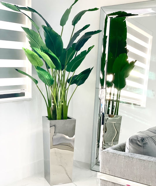Medium Stainless Steel Cube Planter with Bird of Paradise (7′)