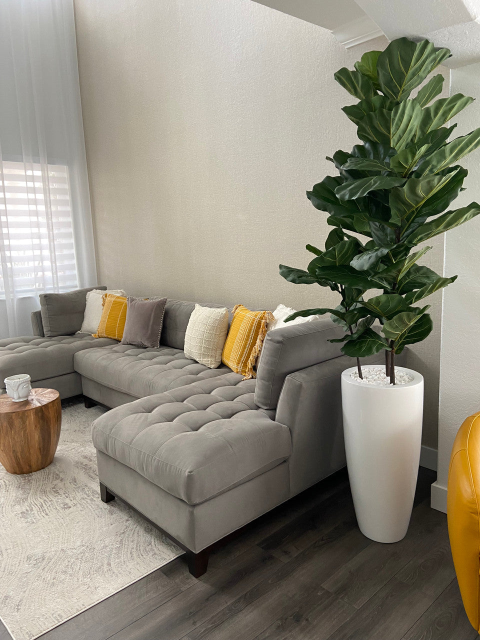 Fiddle Leaf Tree with Dax L Glossy White Fiberglass Planter