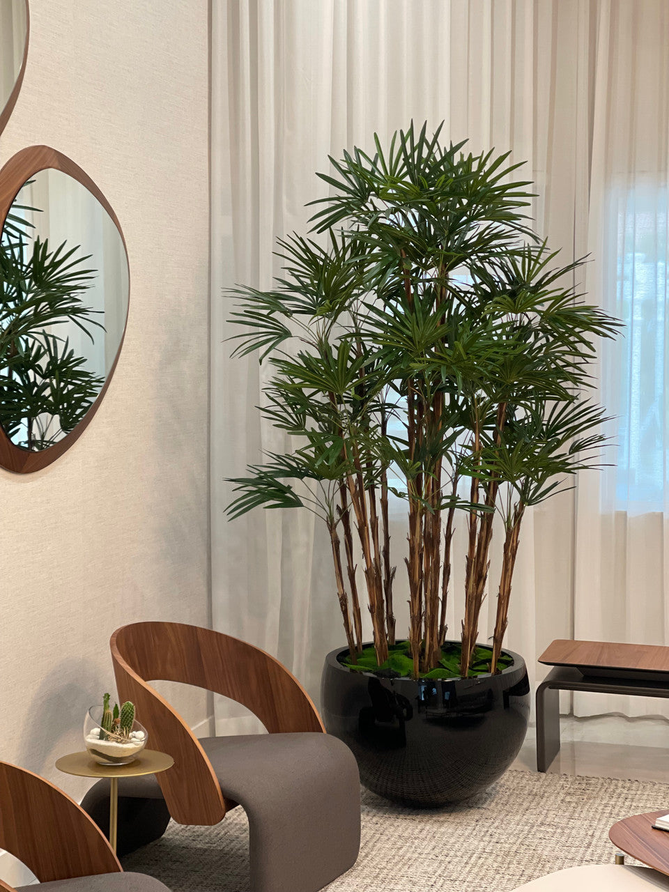 Black Terragona Planter with Lady Palm