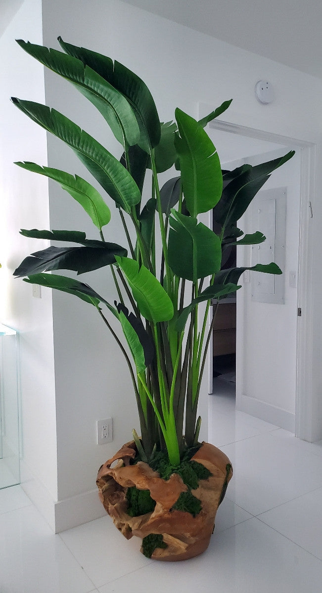 Large Teak Vessel  with Large Bird of Paradise