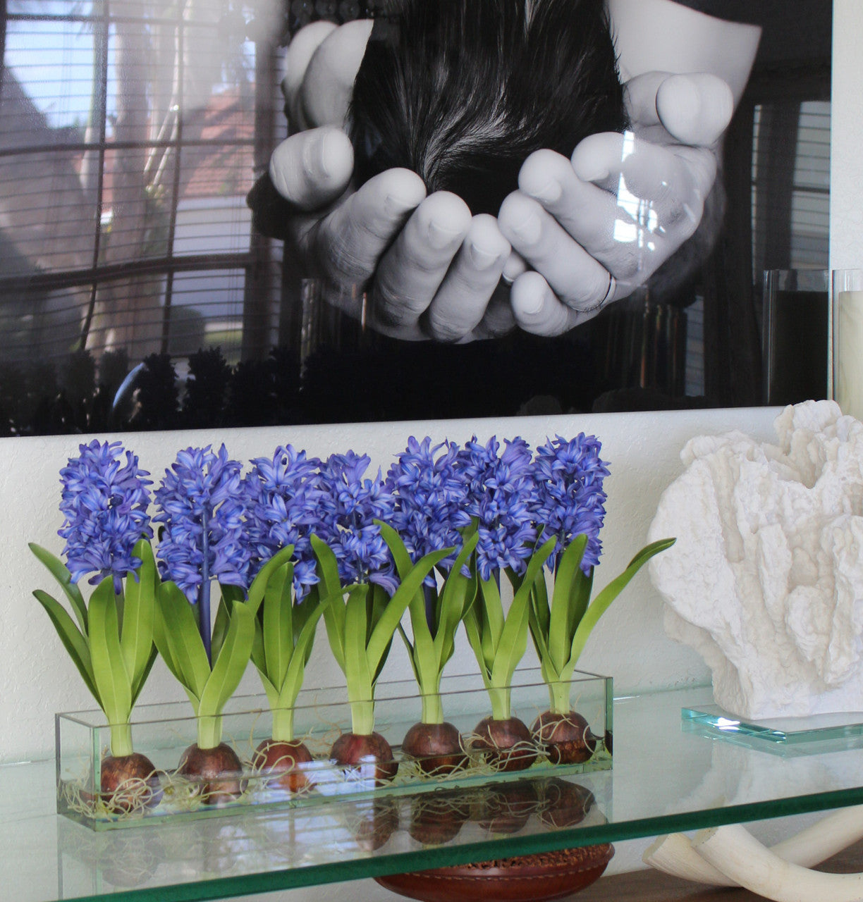 Jardinière en verre Casa Moderna 24 po avec jacinthes bleues (rupture de stock)