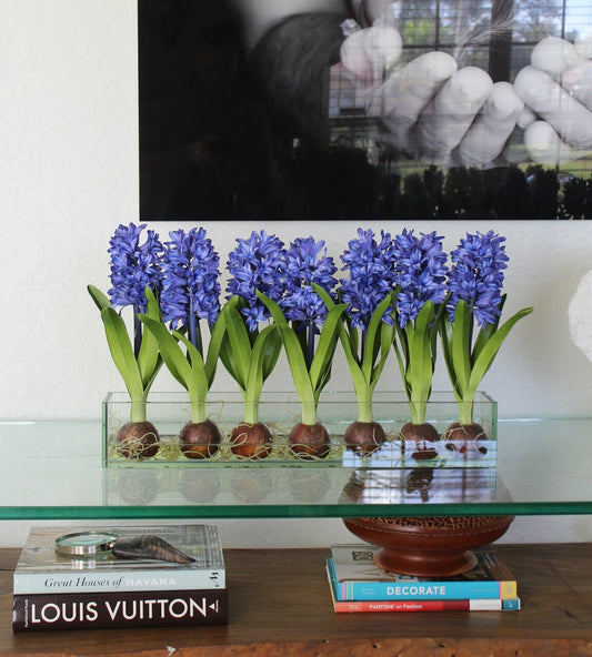 Jardinière en verre Casa Moderna 24 po avec jacinthes bleues (rupture de stock)