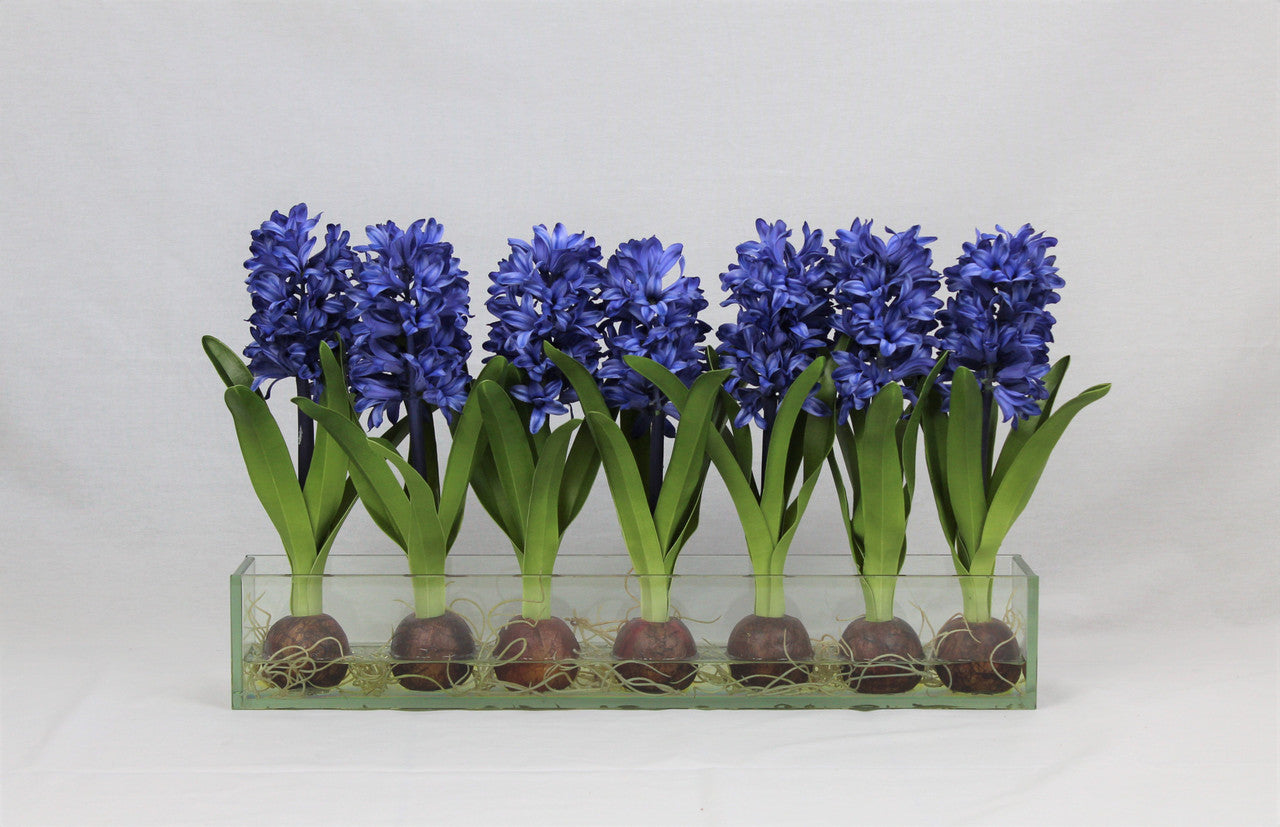 Jardinière en verre Casa Moderna 24 po avec jacinthes bleues (rupture de stock)
