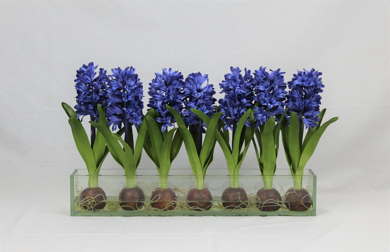 Jardinière en verre Casa Moderna 24 po avec jacinthes bleues (rupture de stock)