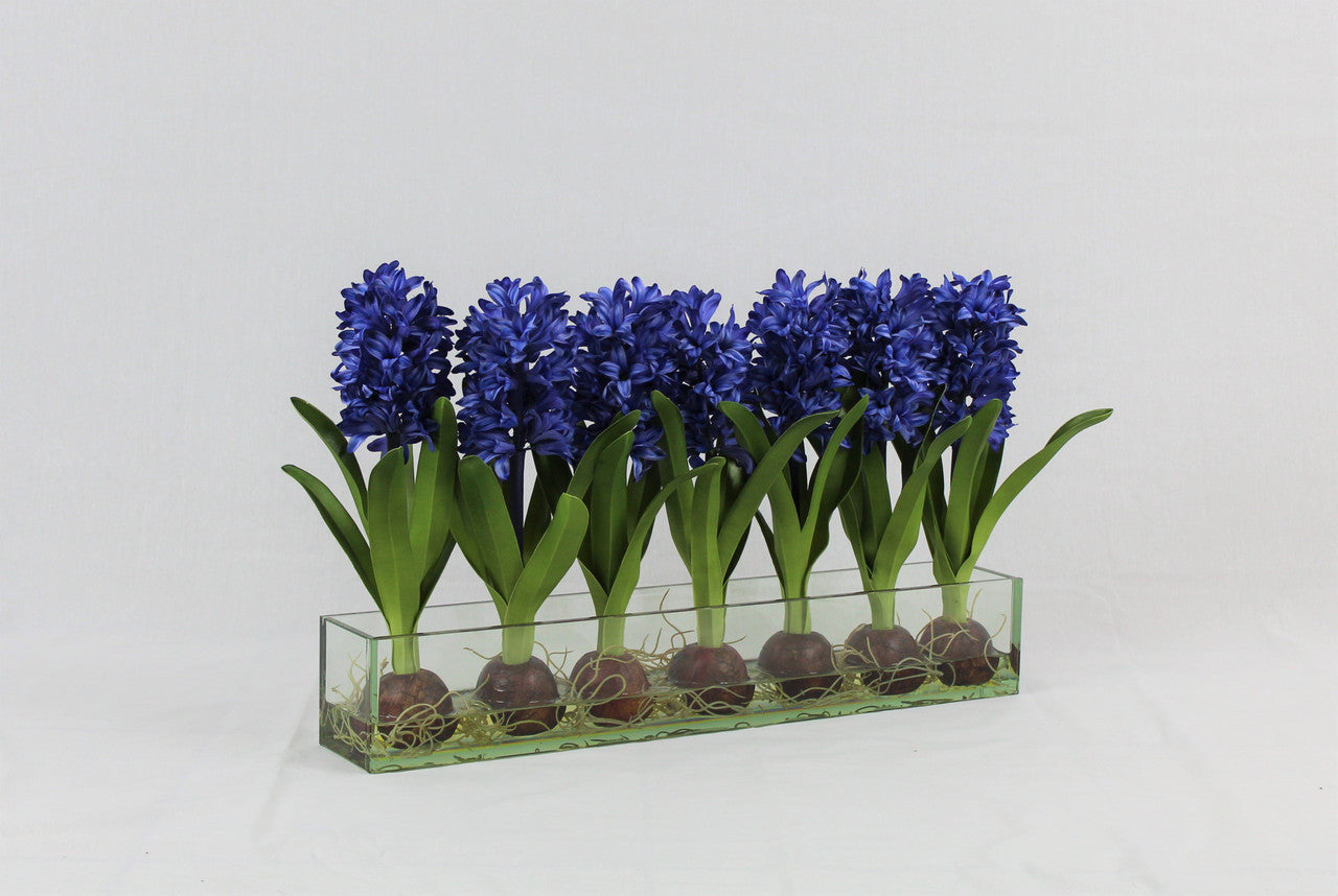 Jardinière en verre Casa Moderna 24 po avec jacinthes bleues (rupture de stock)