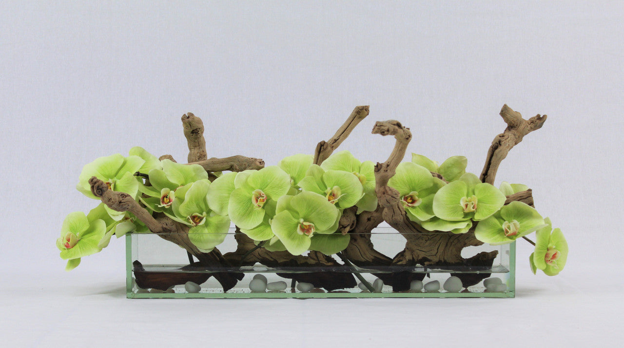 Jardinière en verre Casa Moderna 24″ avec orchidées vertes