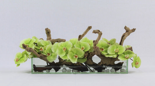 Jardinière en verre Casa Moderna 24″ avec orchidées vertes