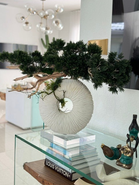 Medium Eternity Vase with Trailing Bonsai Tree and Driftwood