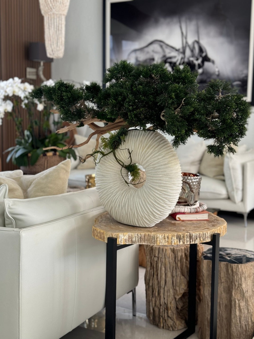 Medium Eternity Vase with Trailing Bonsai Tree and Driftwood