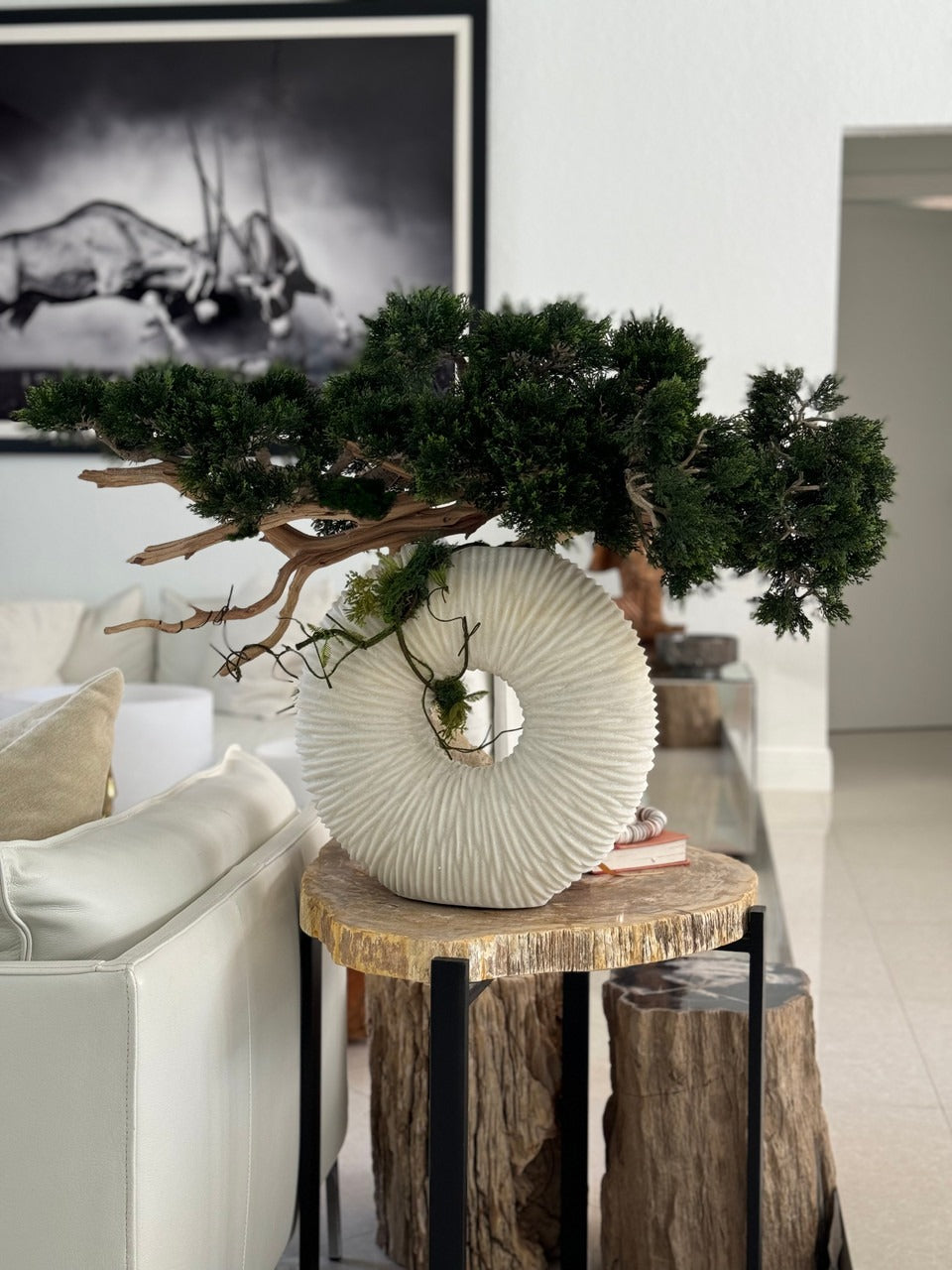 Medium Eternity Vase with Trailing Bonsai Tree and Driftwood
