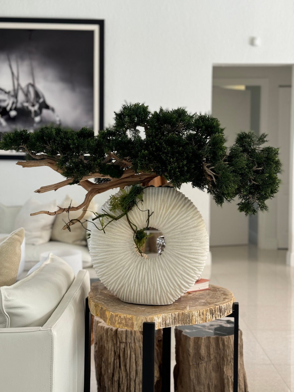 Medium Eternity Vase with Trailing Bonsai Tree and Driftwood