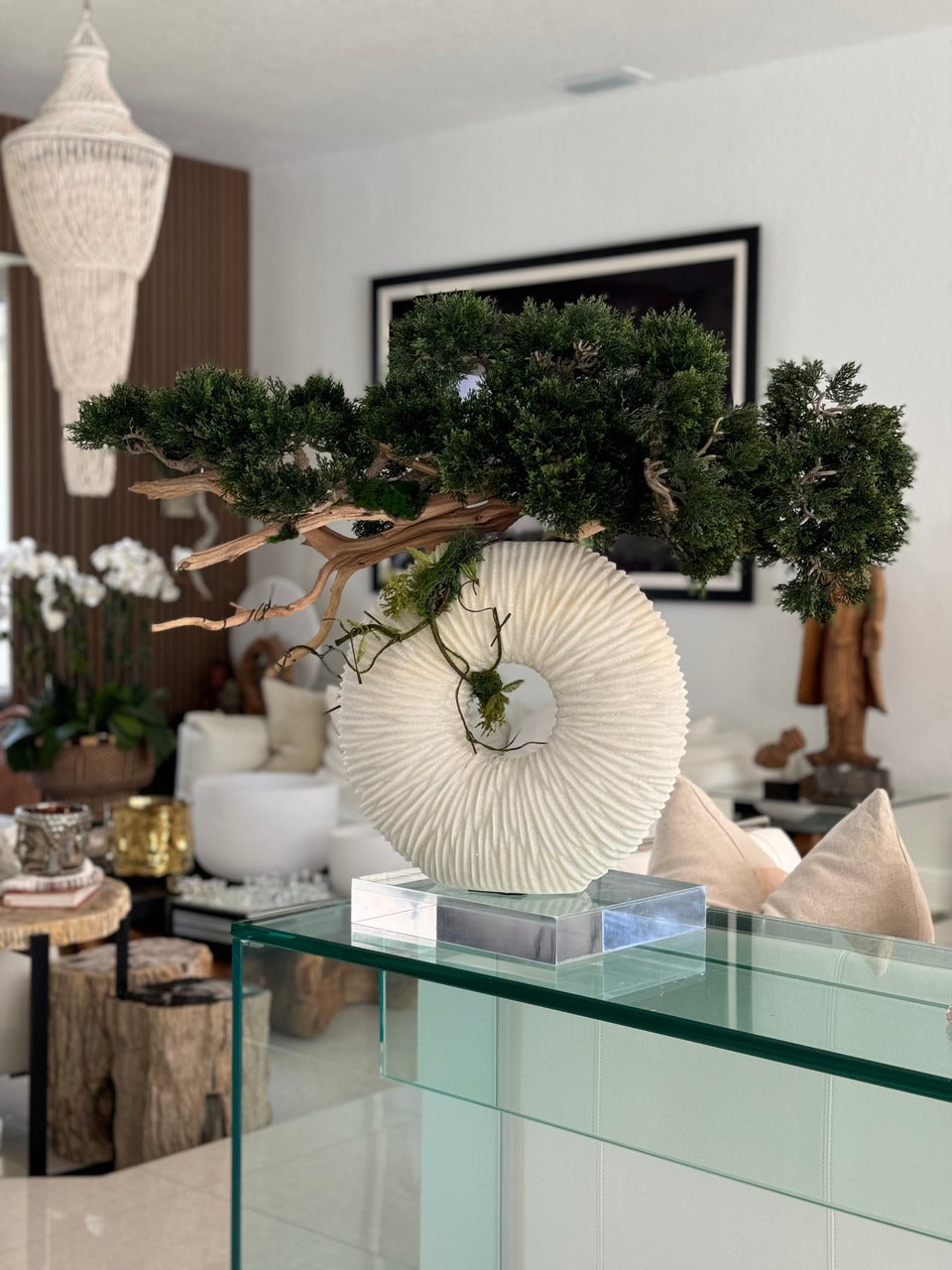 Medium Eternity Vase with Trailing Bonsai Tree and Driftwood