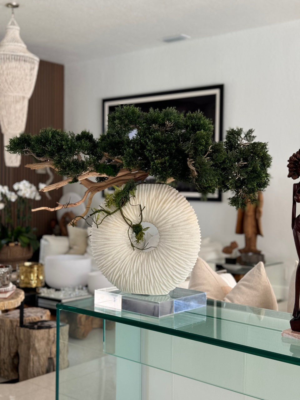 Medium Eternity Vase with Trailing Bonsai Tree and Driftwood