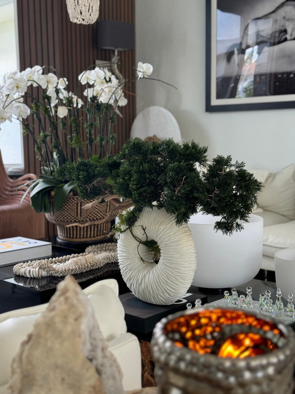 Large Eternity Vase with Trailing Bonsai Tree and Driftwood