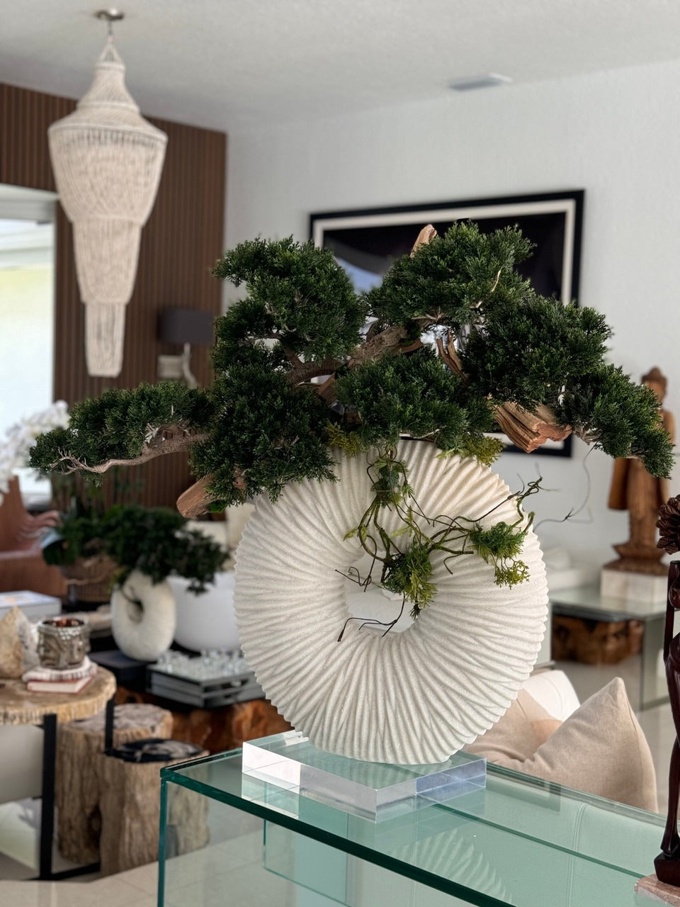 Large Eternity Vase with Trailing Bonsai Tree and Driftwood