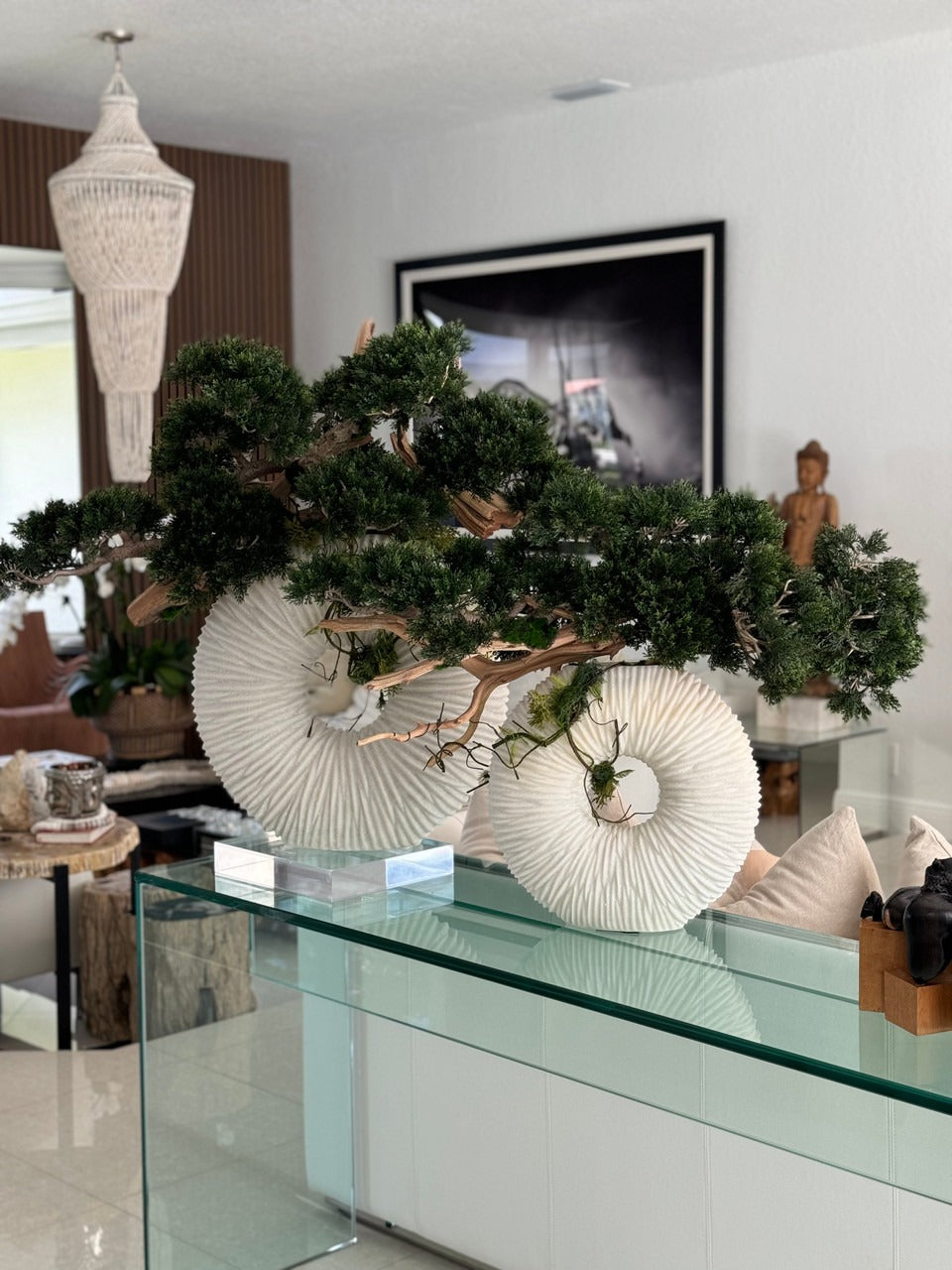 Large Eternity Vase with Trailing Bonsai Tree and Driftwood