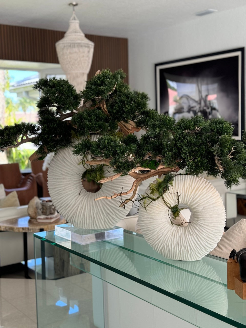 Medium Eternity Vase with Trailing Bonsai Tree and Driftwood