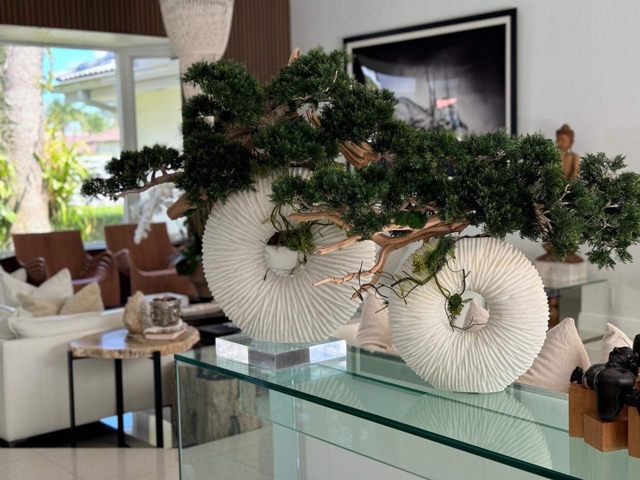 Large Eternity Vase with Trailing Bonsai Tree and Driftwood