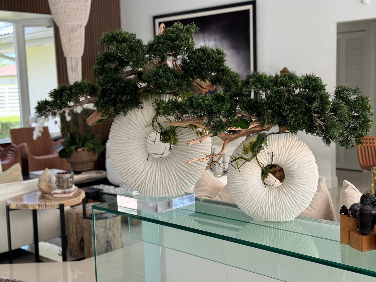 Medium Eternity Vase with Trailing Bonsai Tree and Driftwood
