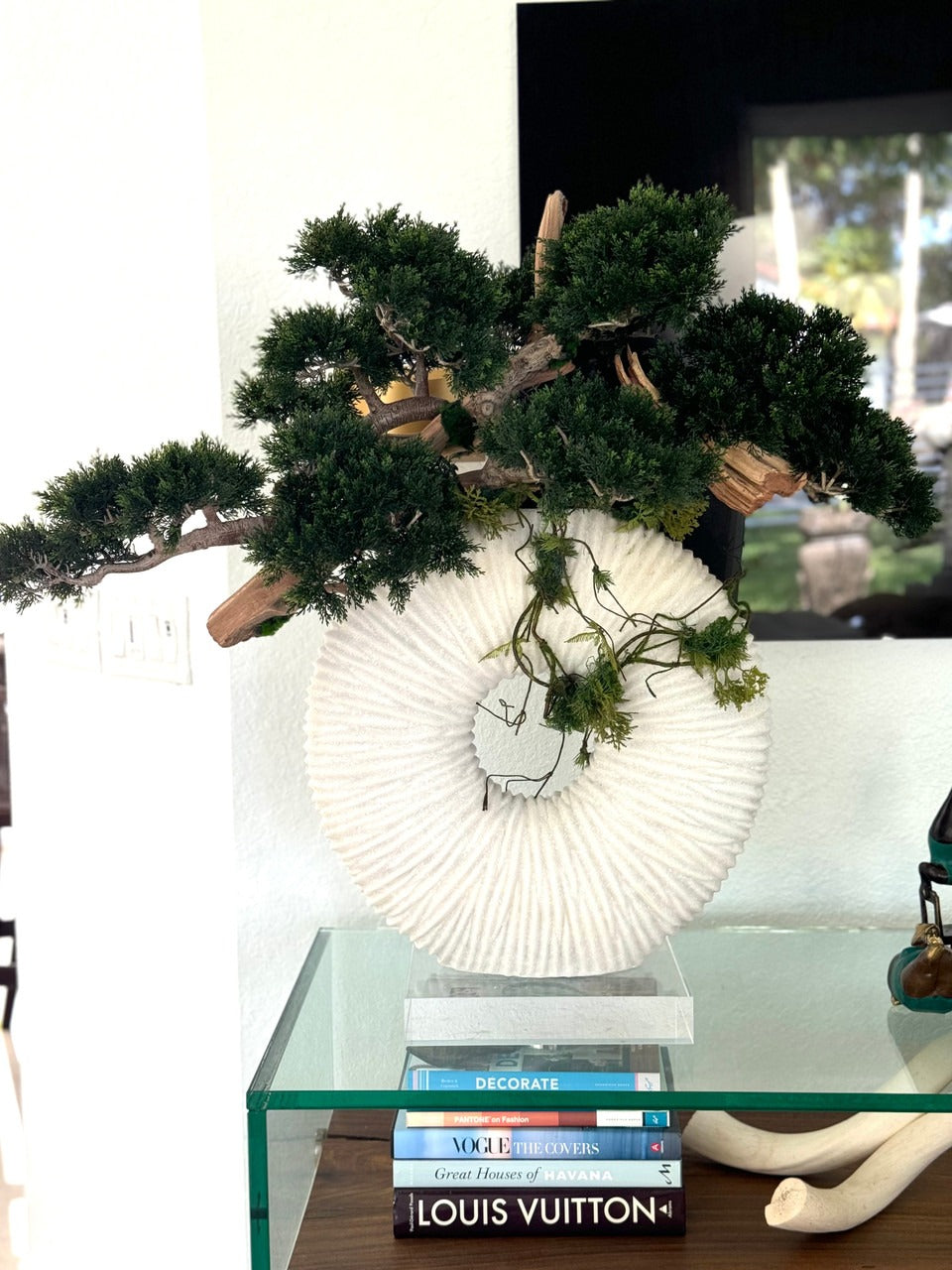 Large Eternity Vase with Trailing Bonsai Tree and Driftwood