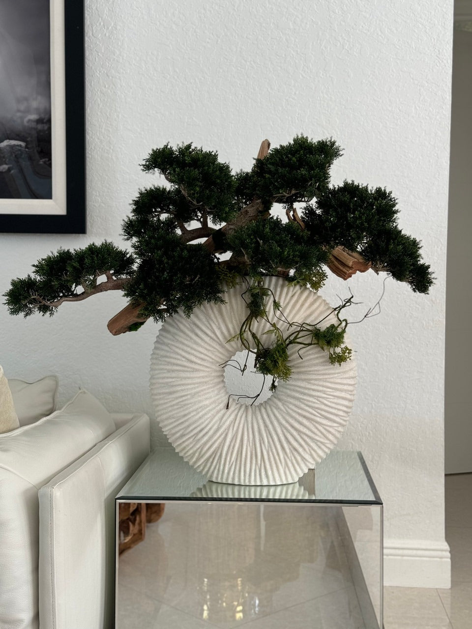 Large Eternity Vase with Trailing Bonsai Tree and Driftwood