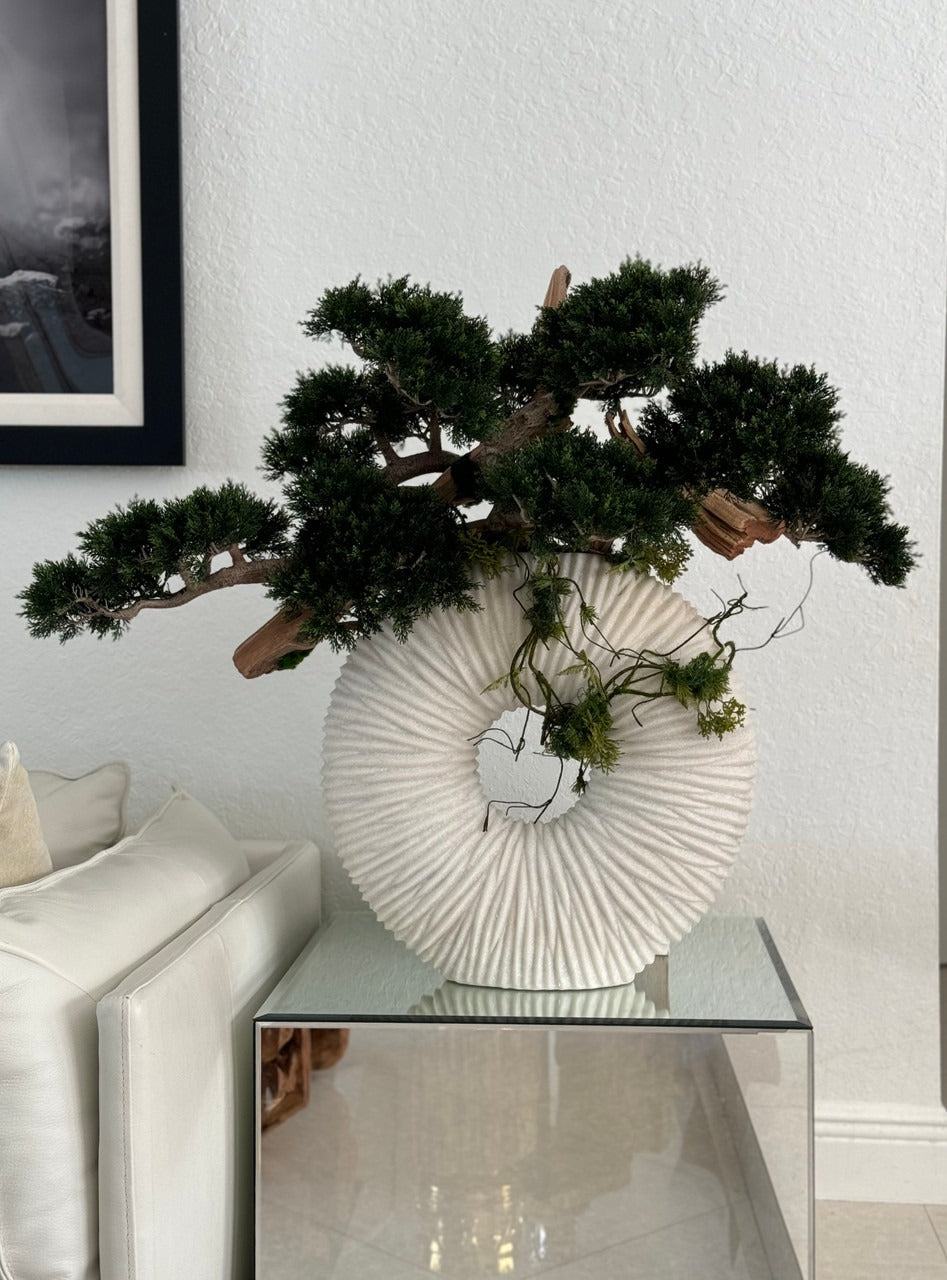 Large Eternity Vase with Trailing Bonsai Tree and Driftwood