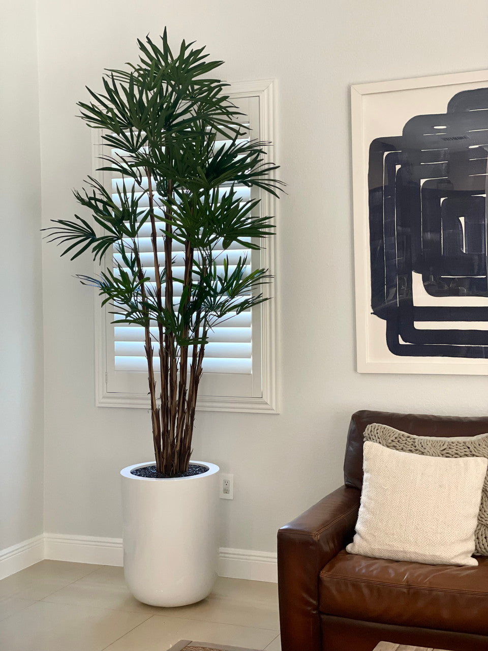 Lady Palm in XL Dice Planter