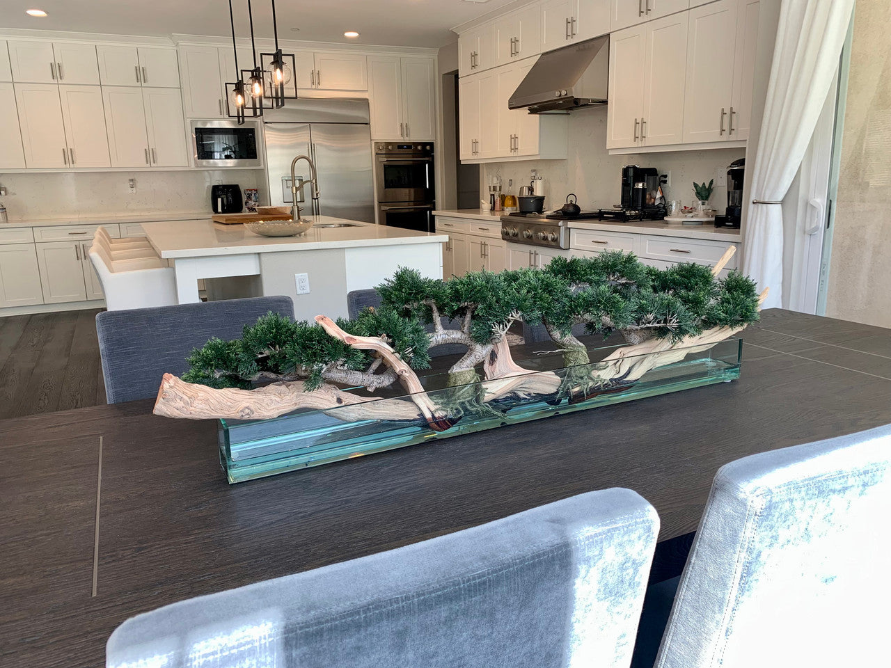 Trailing Cedar Bonsai on 48″ Glass Plate Planter