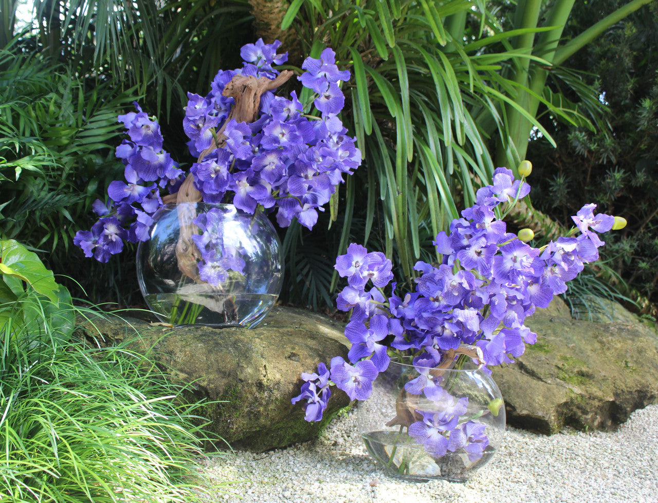 Vase lune de 40 cm avec orchidées Vanda violettes