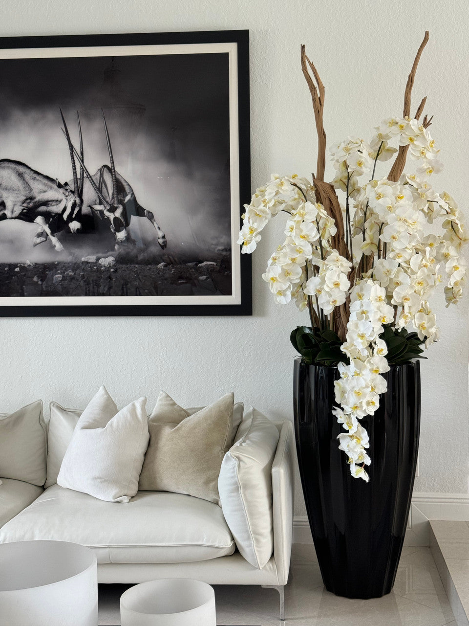 San Jose Planter in Glossy Black  with Cascading White Orchids