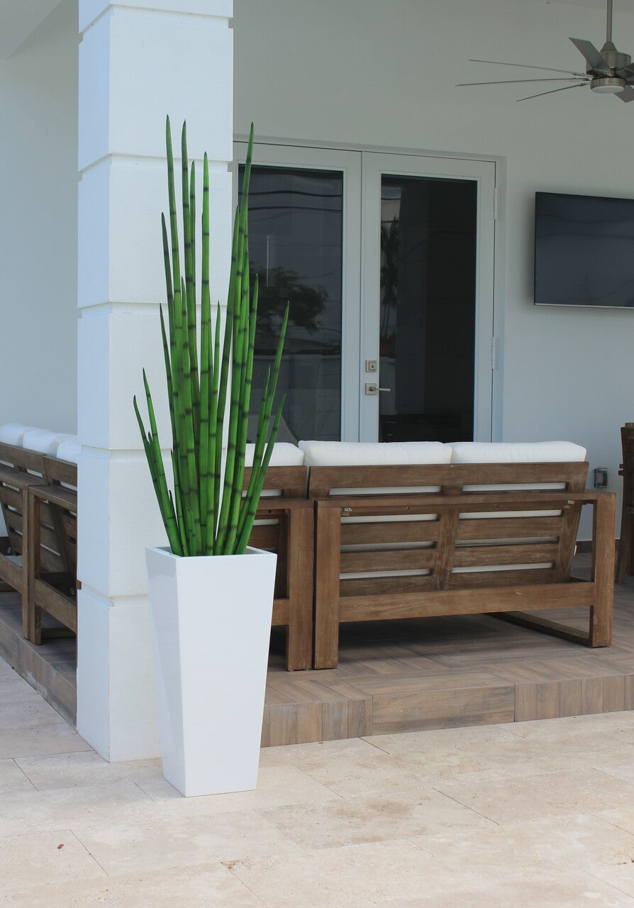 Snake grass (63″) with Beau M planter in glossy white