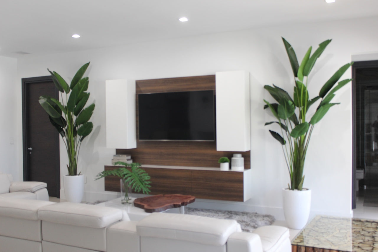 9 ft Bird of Paradise  with Ben Planter in Glossy White