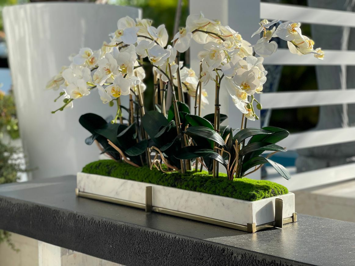 Plateau en marbre sur support métallique avec jardinet d'orchidées mini-phalaenopsis