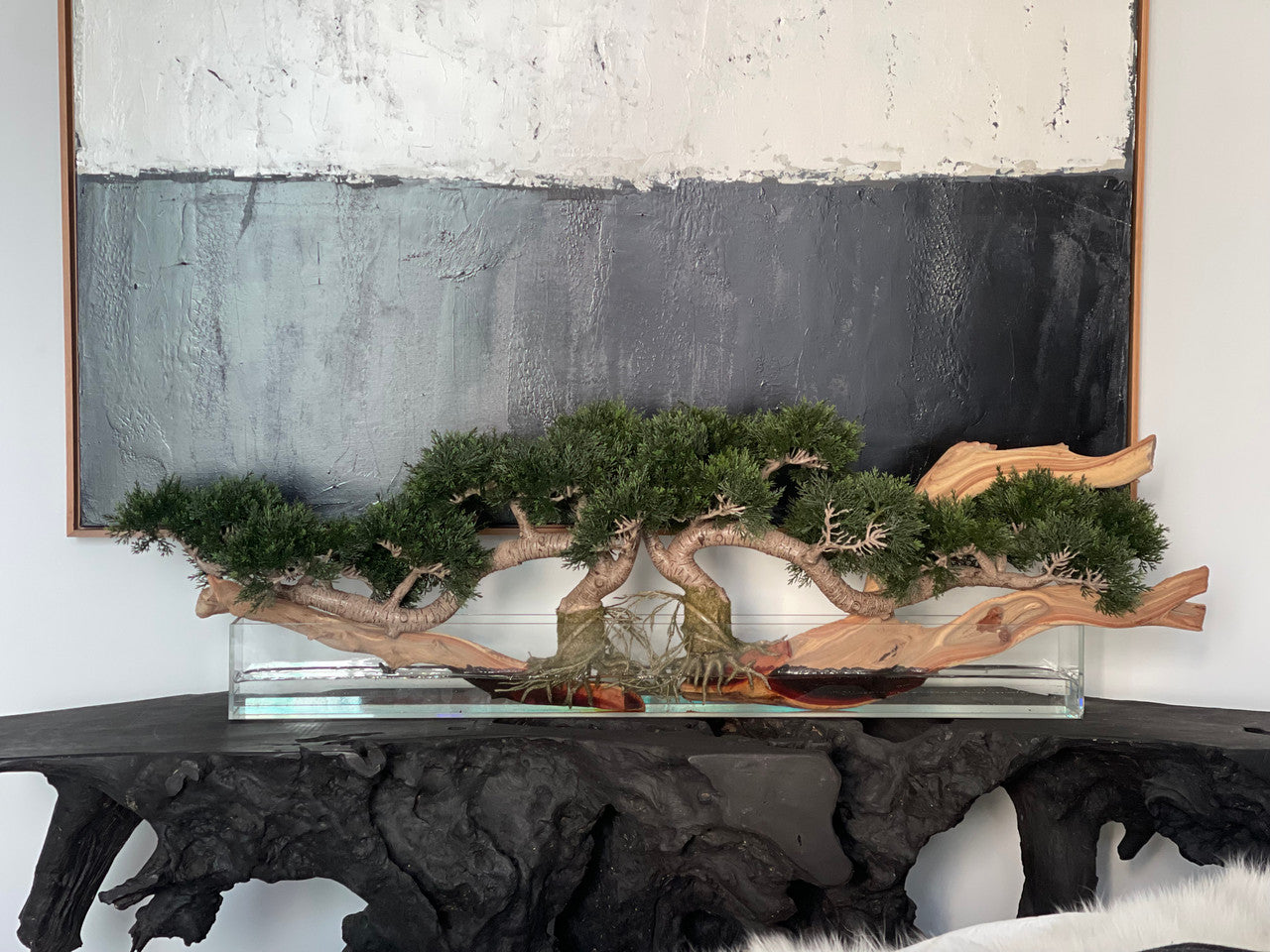 Trailing Cedar Bonsai on 36″ Glass Plate Planter