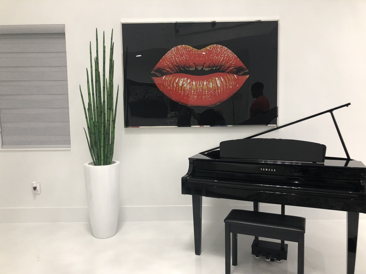 Snake grass (63″) with Dax L planter in glossy white