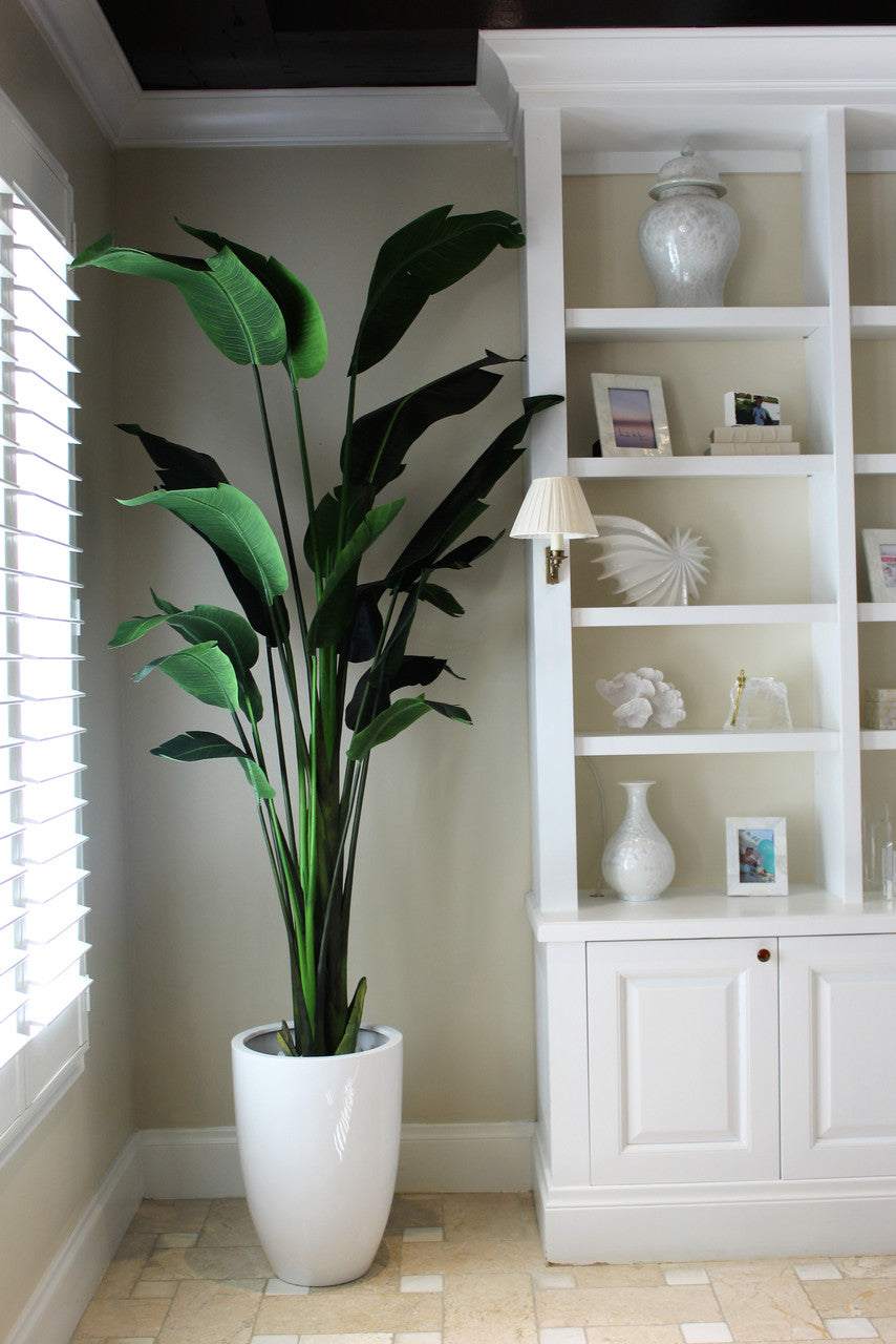 9 ft Bird of Paradise  with Ben Planter in Glossy White