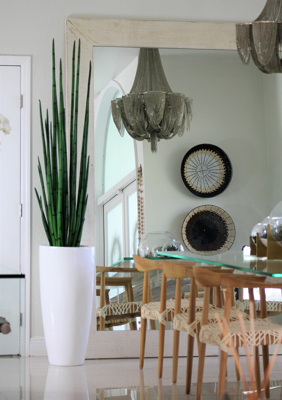 Snake grass (63″) with Dax L planter in glossy white