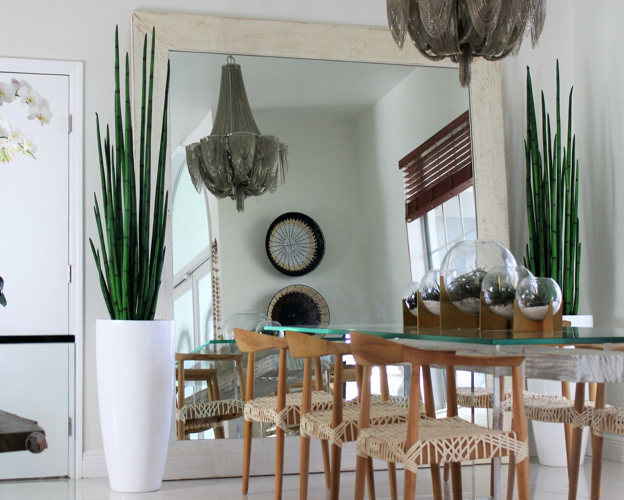 Snake grass (63″) with Dax L planter in glossy white