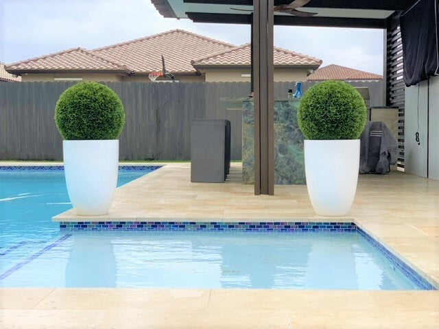 Ben L Fiberglass with 20″ Topiary